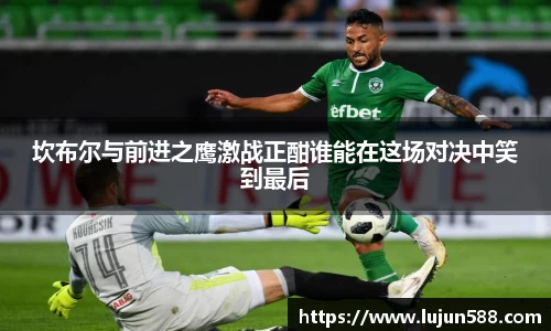 九游会·(j9)官方网站